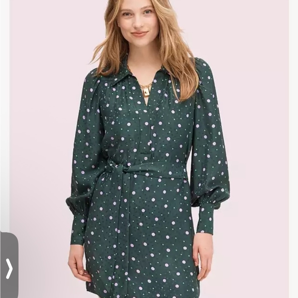 Kate Spade Green Polka Dot Dress Small - Picture 1 of 5